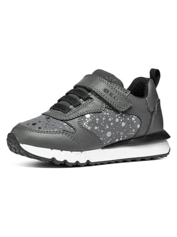 Geox Sneakers "Fastics" in Grau