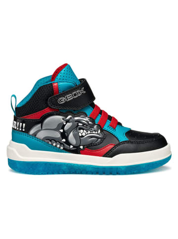 Geox Sneakers "Buzzerlight" in Schwarz/ Hellblau