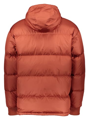 The North Face Donsjas lichtbruin