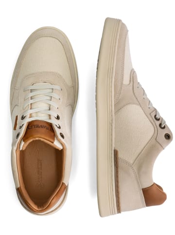 TRAVELIN' Leren sneakers "Bromley" beige