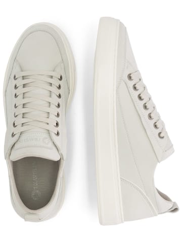 TRAVELIN' Leren sneakers "Camber" wit