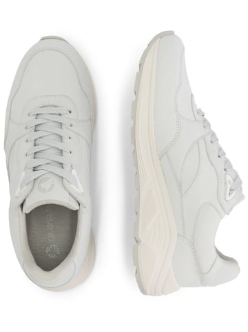 TRAVELIN' Leren sneakers "Rampton" wit