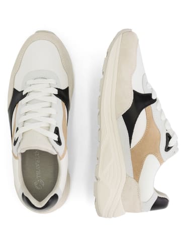 TRAVELIN' Skórzane sneakersy "Royston" w kolorze beżowo-białym