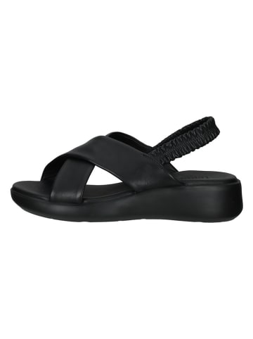 Legero Leder-Sandalen in Schwarz