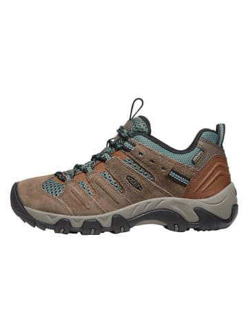 Keen Wanderschuhe "Headout" in Hellbraun/ Grau