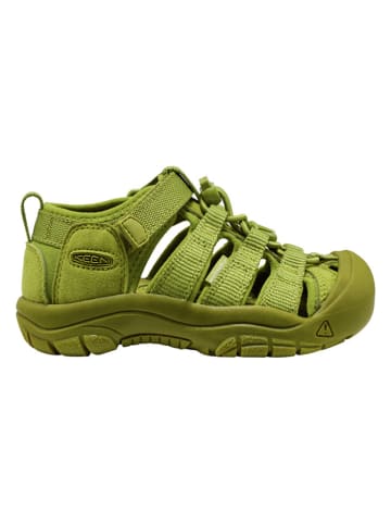 Keen Wandelsandalen "Newport H2" groen
