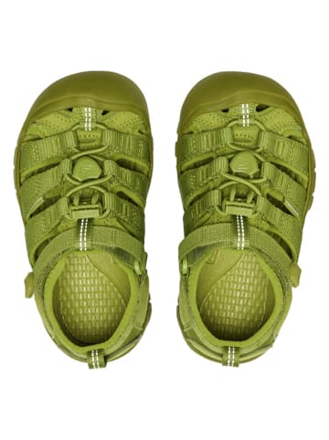 Keen Sandały turystyczne "Newport H2" w kolorze zielonym