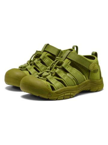 Keen Sandały turystyczne "Newport H2" w kolorze zielonym