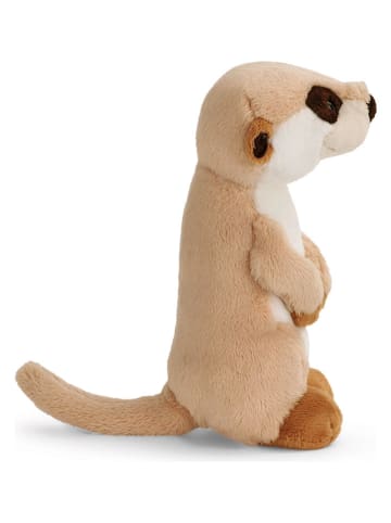 NICI Maskotka "Meerkat" - 0+