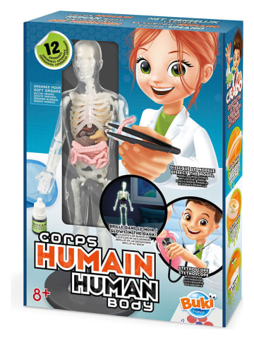 BUKI Körpermodell - ab 8 Jahren