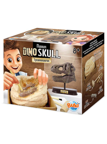 BUKI Zestaw odkrywcy "Museum Skull - T-Rex" - 8+