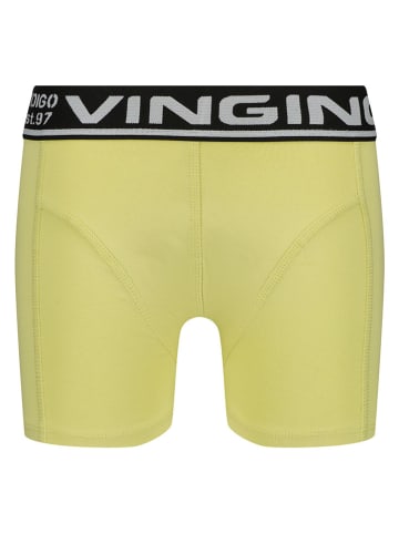 Vingino 5-delige set: Boxershort meerkleurig