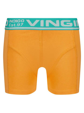 Vingino 5-delige set: Boxershort meerkleurig