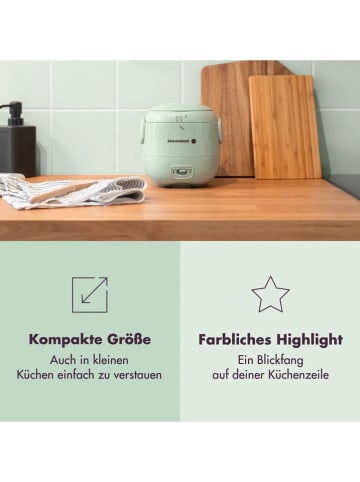 Reishunger Mini-Reiskocher in Grün - 300 ml