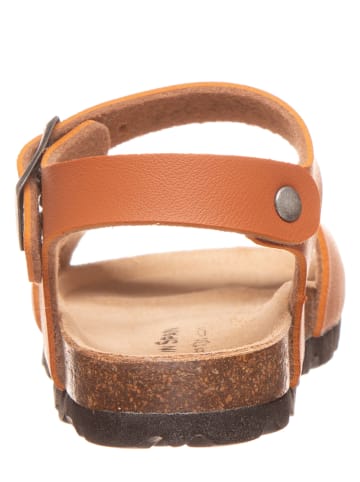 Little Sky Sandalen camel