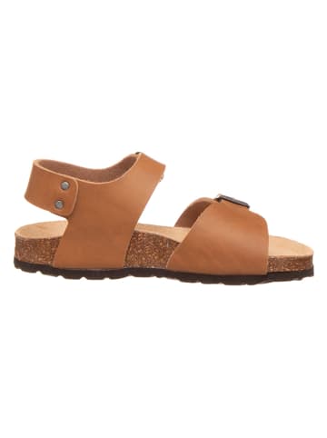 Little Sky Sandalen in Camel