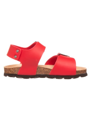Little Sky Sandalen in Rot