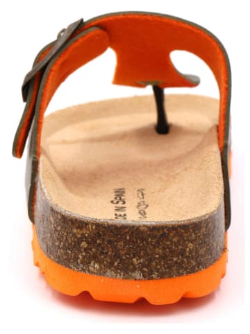 Little Sky Japonki w kolorze khaki