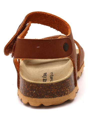 Little Sky Sandalen in Hellbraun