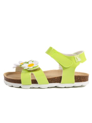 billowy Sandalen "Rosso" in Grün