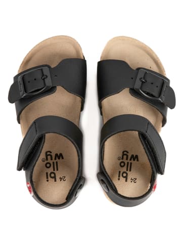 billowy Sandały "Rosso" w kolorze czarnym