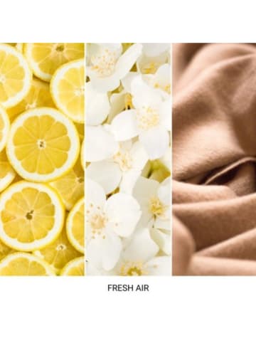 Mr & Mrs Fragrance Autoparfum ''Cesare - Fresh Air'' wit