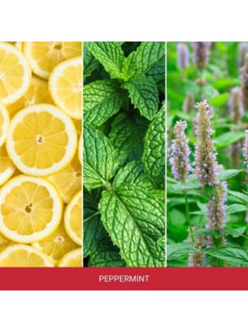 Mr & Mrs Fragrance Zapach samochodowy "Cesare - Peppermint" w kolorze czerwonym