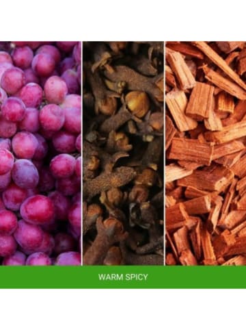 Mr & Mrs Fragrance Autoduft ''Cesare - Warm Spicy'' in Grün