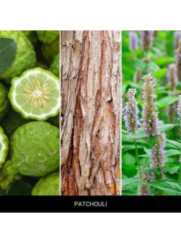 Mr & Mrs Fragrance Autoduft ''Gigi - Patchouli'' in Blau