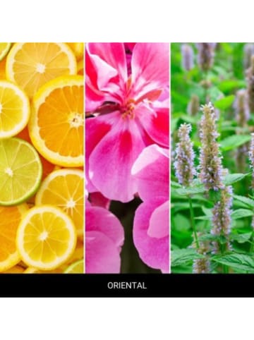 Mr & Mrs Fragrance Autoduft ''Niki - Oriental'' in Gold