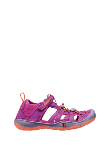 Keen Enkelsandalen paars/roze