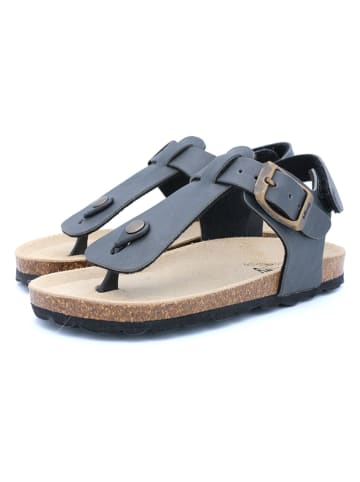 billowy Japonki w kolorze szarym