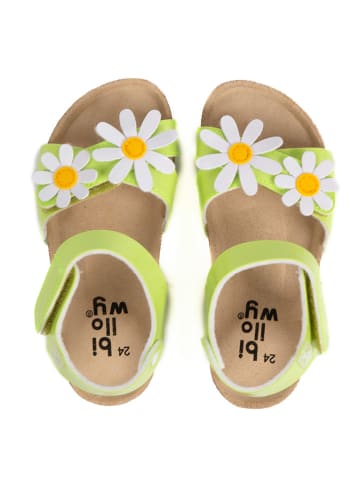 billowy Sandały "Rosso" w kolorze zielonym