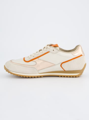 Paul Green Leder-Sneakers in Beige/ Orange