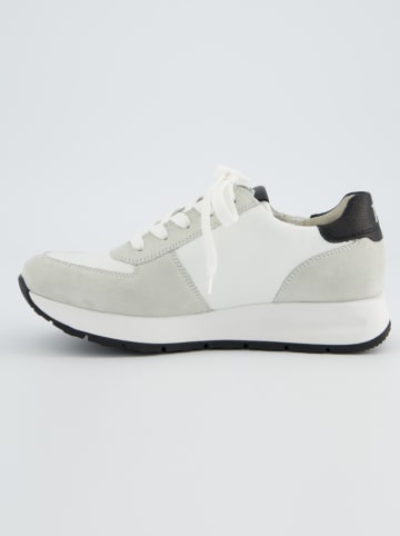 Paul Green Leder-Sneakers in Weiß/ Creme