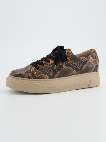 Paul Green Leder-Sneakers in Beige/ Braun