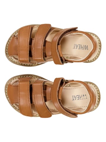 Wheat Leder-Halbsandalen "Addison" in Hellbraun