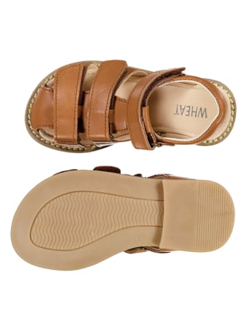 Wheat Leren enkelsandalen "Addison" lichtbruin