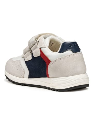 Geox Sneakers "Alben" in Creme