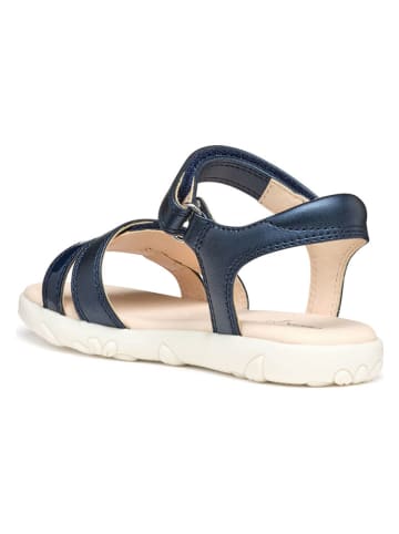 Geox Sandalen "Haiti" in Dunkelblau