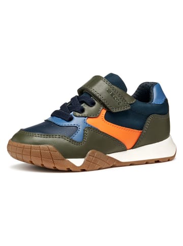 Geox Sneakers "Rann" kaki/blauw