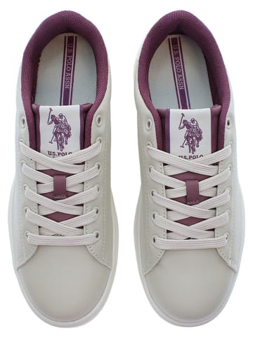 U.S. Polo Assn. Sneakers in Grau