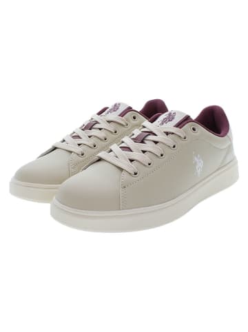 U.S. Polo Assn. Sneakers "Francy" in Grau