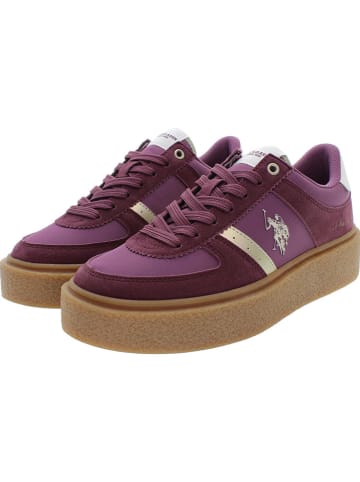 U.S. Polo Assn. Sneakers paars/goudkleurig