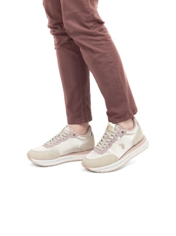 U.S. Polo Assn. Sneakers beige/paars