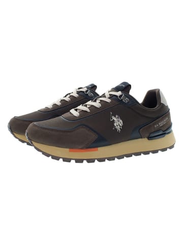 U.S. Polo Assn. Sneakers bruin
