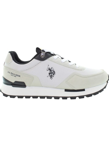 U.S. Polo Assn. Sneakers in Weiß/ Creme/ Schwarz