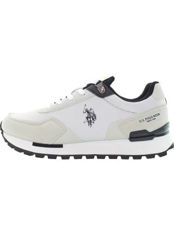 U.S. Polo Assn. Sneakers in Weiß/ Creme/ Schwarz