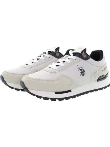 U.S. Polo Assn. Sneakers in Weiß/ Creme/ Schwarz