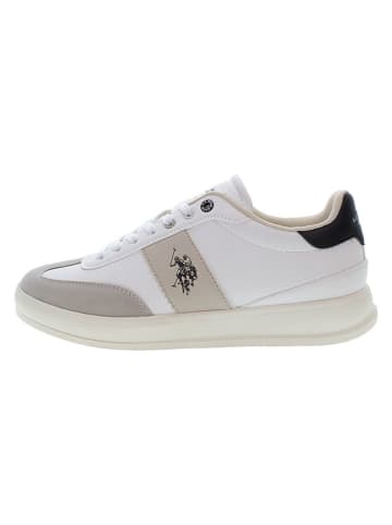 U.S. Polo Assn. Sneakers in Creme/ Beige